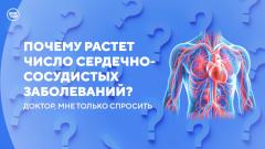 Статины: пить или не пить