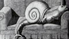 Что делать с постоянной усталостью?