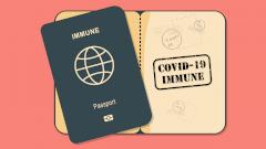 В Туве собираются ввести антиковидные паспорта для детей