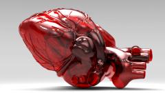 Свердловские хирурги ювелирно удалили у женщины опухоль в сердце