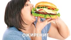 Ожирение. 2 часть