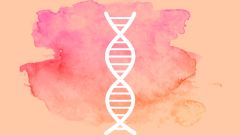 Мифы о наследственности: загадка отсутствия безглавых младенцев