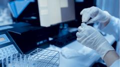 Выяснилось, какая часть иммунной системы отвечает за тяжесть протекания COVID-19