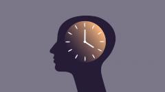 циркадные часы