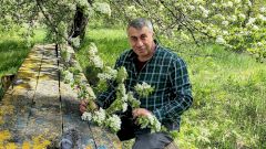 15 фактов о докторе Комаровском