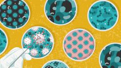 Топ-20 вопросов о новой вакцине «ЭпиВакКорона»