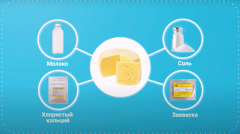 Как выбрать сыр?