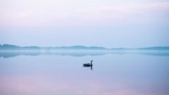 Сохраняйте спокойствие! — что важно знать о панических атаках