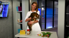 Почему возникает аллергия и как с ней бороться?