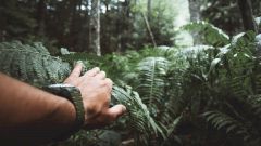 Болезни туристов