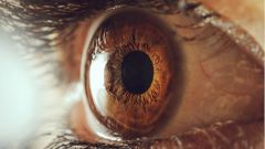 В Израиле мужчине вернули зрение с помощью искусственной роговицы