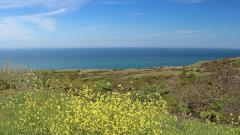 От туристов на Кубани потребуют две обязательные справки