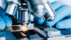 молекулы-лидеры с противораковыми и антибактериальными свойствами