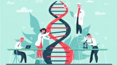 Тяжелое протекание COVID-19 связали с генами от неандертальцев