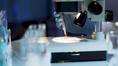 Разработана новая стратегия создания вакцин против ВИЧ