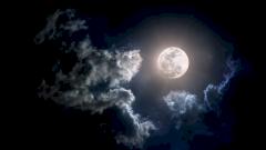 Мальчик-лунатик в Москве пошел босиком в школу в сильный мороз