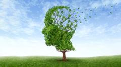 Болезнь Альцгеймера может оказаться не совсем болезнью мозга: ученые