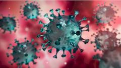 В США сообщили об особо заразном штамме SARS-CoV-2