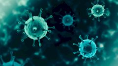 ВОЗ сообщила, когда ожидает пика госпитализаций и смертности