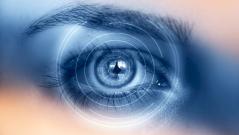 В США одобрили нейроимплант Маска, способный возвращать зрение
