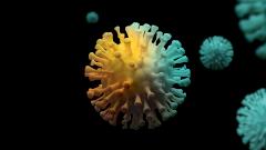 Найден еще один коронавирус, способный проникать в человеческие клетки