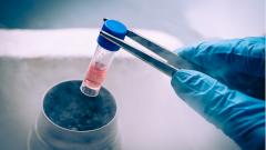 Новорожденному впервые пересадили стволовые клетки