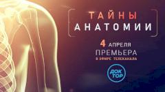 Телеканал «Доктор» раскроет «Тайны анатомии»