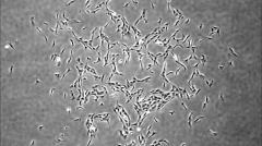 Находки Доктора