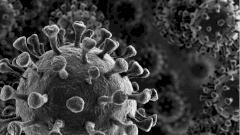 Эксперт: у нас нет свидетельств, что вариант «Омикрон» опаснее других