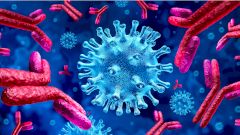 Ученые описали случаи повторного заражения COVID-19 при наличии антител