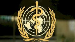 Стратегия ВОЗ по борьбе с коронавирусом оказалась основана на непроверенных данных