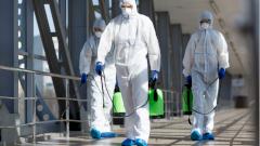 Российский врач: эпидемия оспы обезьян может произойти из-за мутации вируса