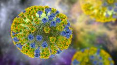 Первый в мире человек скончался от птичьего гриппа штамма H3N8