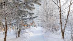 Пациента везли к скорой в ковше трактора из-за неубранного снега