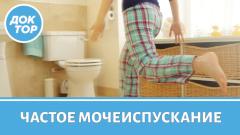 Частые походы в туалет: причины и что поможет