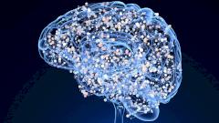 лекарство, мозг