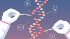 У людей обнаружены генетические вариации, резко увеличивающие смертность от COVID-19