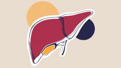 Что вы знаете о своей печени?