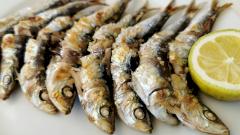 Сардины или анчоусы: что полезнее