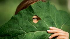 Лопух (репейник) — польза и вред, состав и лечебные свойства