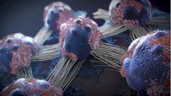 Ученые: гормон стресса активизирует раковые клетки