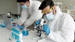 Открыто необычное антитело, способное нейтрализовать вирус Зика