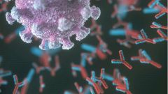 Ученый предложил три версии устойчивости иммунитета к коронавирусу