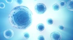 иммунные клетки