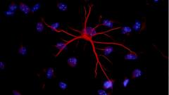 Находки Доктора