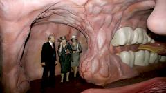 Музей как путешествие по человеческому телу