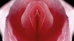 Самоочищается и не пахнет