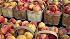 Нектарин: польза и вред для организма, витамины и полезные свойства