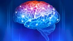 Лекарство от ВИЧ помогает мозгу очиститься от токсичных белков, приводящих к деменции