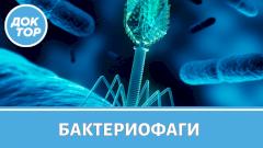 Антибиотики не помогают? Когда нужны бактериофаги